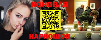 стаф Дмитров
