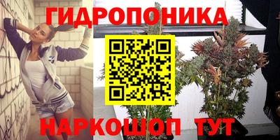 прущие грибы Долгопрудный
