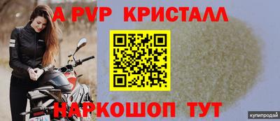 стаф Дмитров