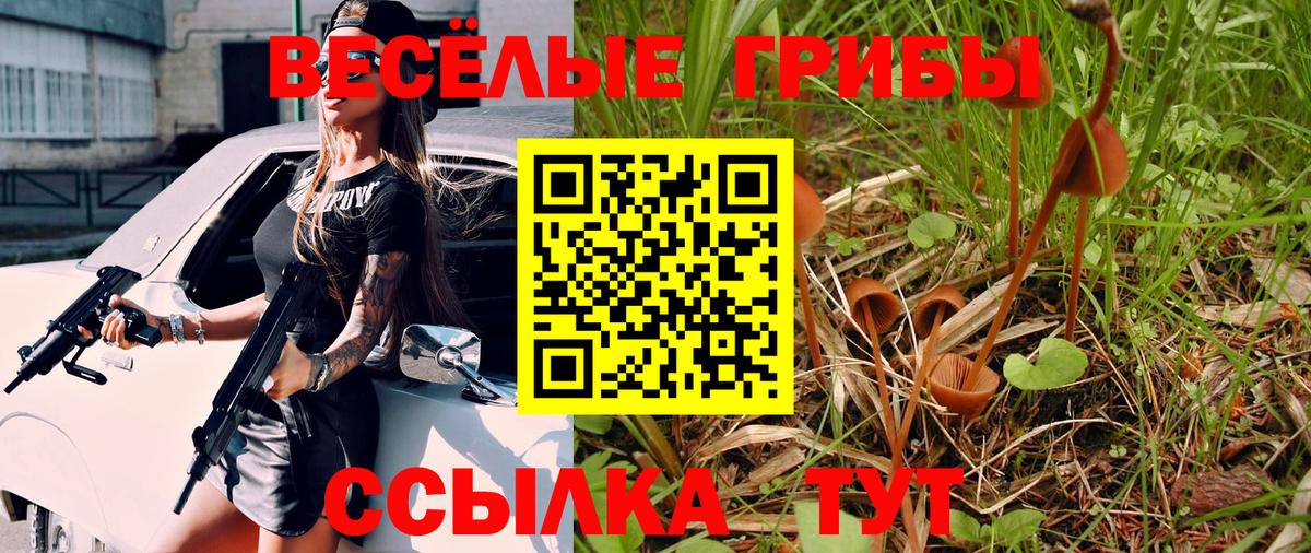 Псилоцибиновые грибы GOLDEN TEACHER Михайловка