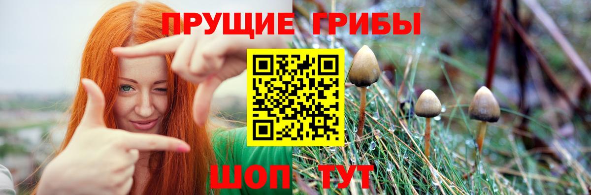 Михайловка  Псилоцибиновые грибы ЛСД  Вход с VPN 
